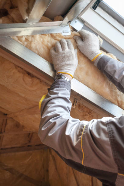 Best Types of Insulation in St Jaco, IL