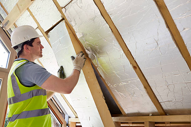 Best Energy Efficiency Solutions in St Jaco, IL